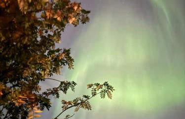 Northern Knights - Foto 20