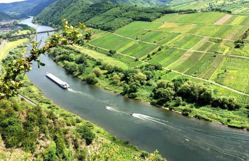 Ferienhaus MaLu in Bremm - Foto 46