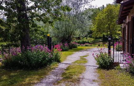 Agriturismo Il Falco del Monte Fumaiolo - Foto 10