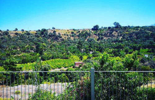 La cara Luna - Foto 34