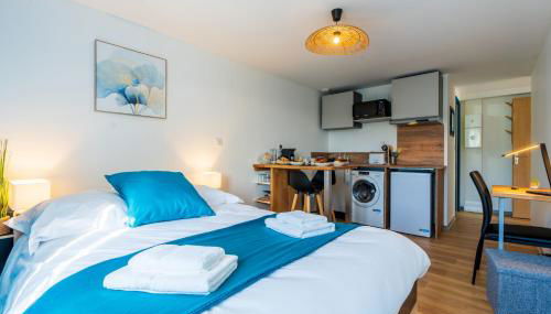 Le Roqueprins - Netflix/Wi-Fi Fibre/Terrasse - Foto 3, stove, toaster, minibar