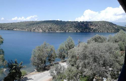 Violetta Studios & Apartments - Foto 17