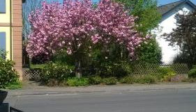 Apartment Meyerhof - Foto 5