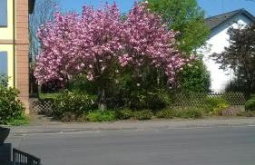 Apartment Meyerhof - Foto 5