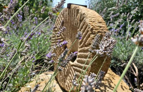 Agriturismo Monaci Templari - Foto 110