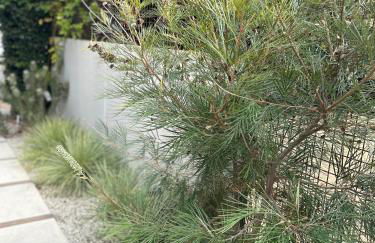 West LA Gem Comfort and Convenience - Foto 7