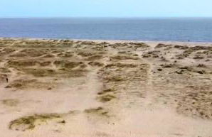 The Rampart - Foto 19