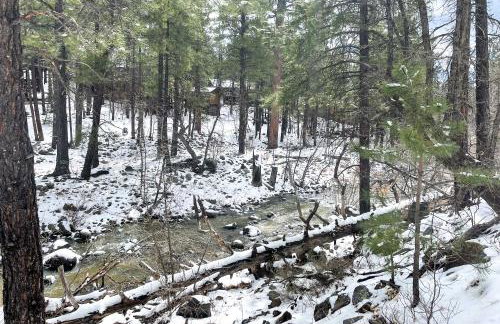 Deck and Scenic Views Munds Park Cabin! - Foto 32