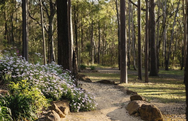 Pokolbin Cottages - Photo 46