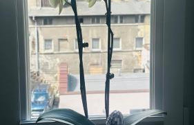 Apartament Azzurro - Old Town - Foto 11