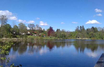 Ferienwohnung Birke - Photo 4