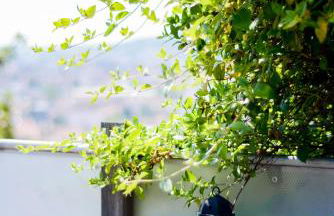 La Terrasse du Belvédère-appartement 3 chambres-Nancy- avec stationnement - Foto 20