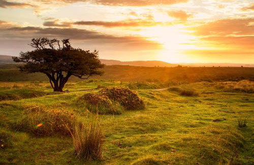 The Farmers Den - Foto 29