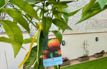 Apartments Sunshine G1 - Foto 47