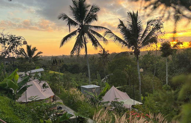 Kamanicamp - Foto 22