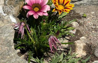 Casa Vacanze Roncaiola - Foto 3