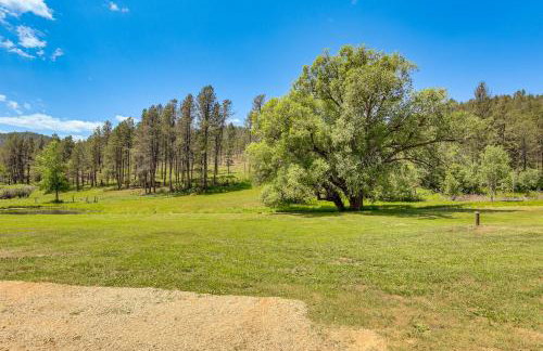 Remote Custer Cabin with Fire Pit and Near State Park! - Foto 25