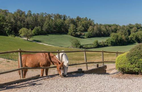 Cal Carulla - Foto 9