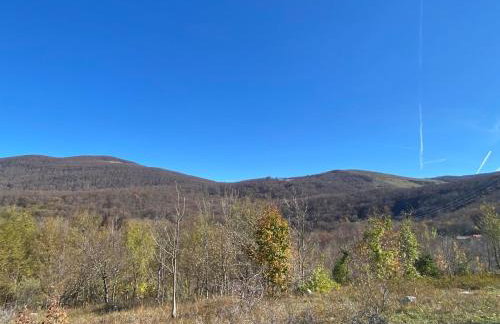 Casa Tilia - Foto 40