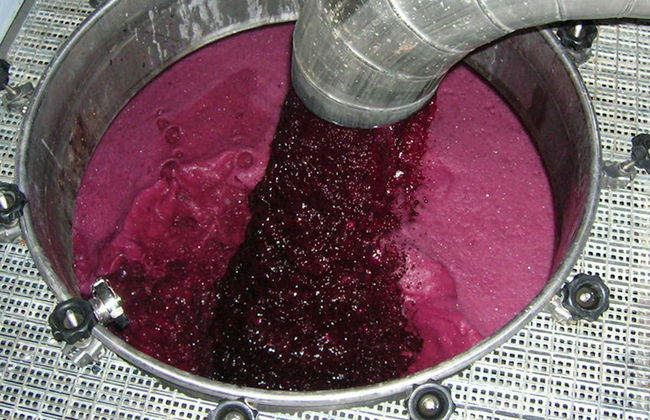 Visita a las bodegas Las Encomiendas - Foto 7