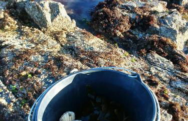 Maison de vacances 3 chambres à 400 m de la plage Kairon - Saint Pair sur mer - Foto 41