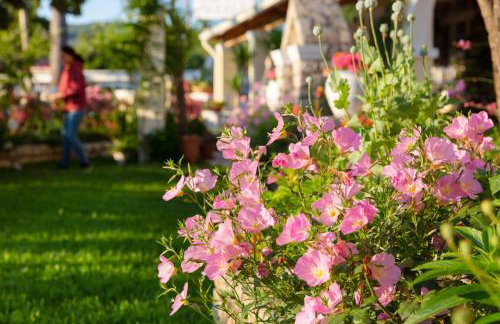 Angelina Apartments - Foto 18