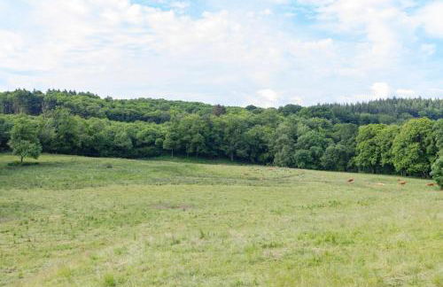 Gîte Chabrignac, jacuzzi et sauna privatif, piscine chauffée partagée, Wifi, salle de jeux - Foto 27