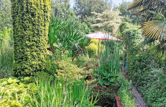 L'Oté rouge - Foto 17