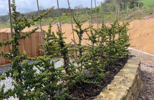 Feriendomizil im Saarschleifenland - Foto 14