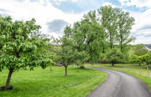 Ferienwohnung Alexandra - Foto 35