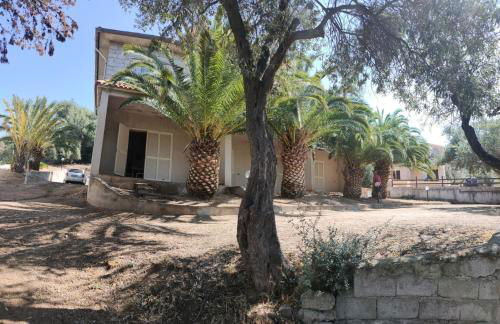 Villa del Palmeto - Foto 16