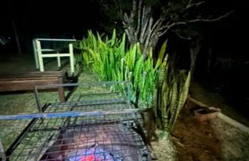 Estúdio Glaura - Foto 15