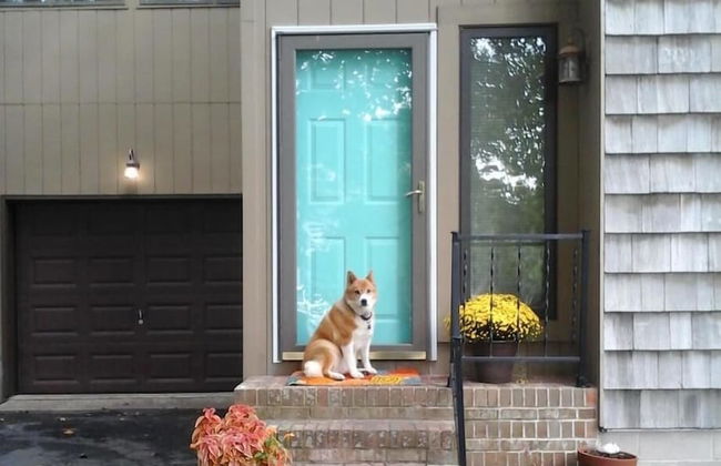 Swedes Street 201 - Photo 16