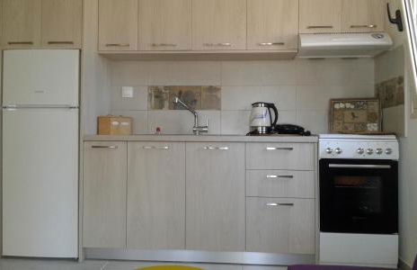 Little Octopus - Photo 7