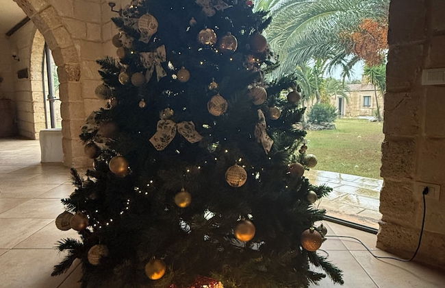 Tenuta Masseria & Spa Chicco Rizzo - Photo 68