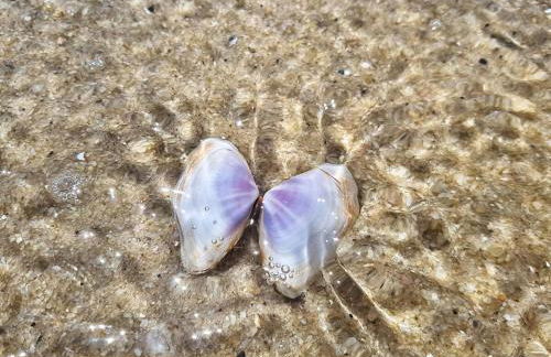 Paraíso Escondido Beach House! - Foto 24