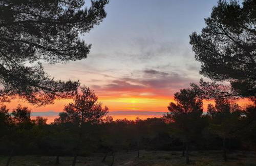 Le Rempart - Foto 17