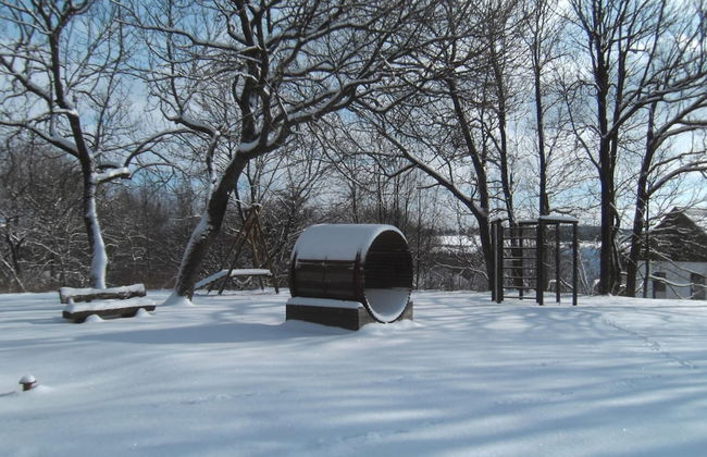 Wohnung in Pfuhl Nahe Naturschutzgebiet - Foto 36