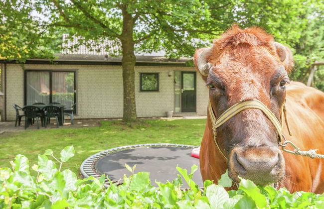 Uden Chalet With Scenic Terrace - Photo 27