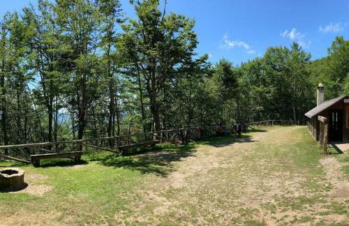 Da Castruccio degli Antelminelli - Foto 24