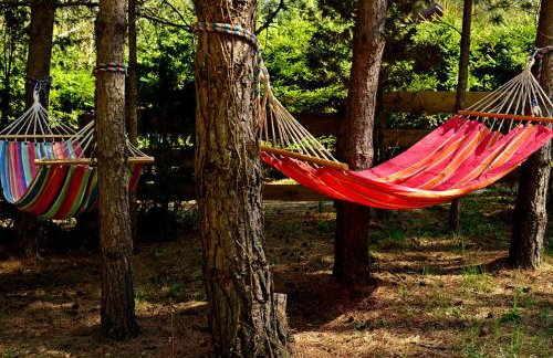 Mazury - Giżycko - Harsz - Domki - ApartMazury Osada - Foto 20