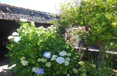 Casa Rural Aborigen Bimbache - Foto 46