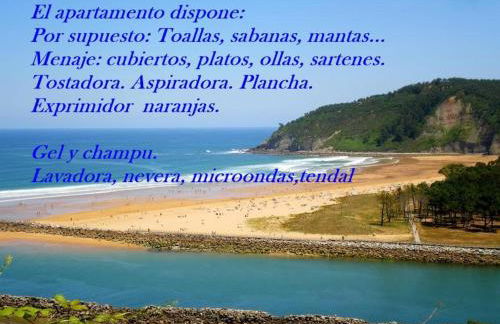 EDIFICIO EL MIRADOR -SITUADO en Playa del Puntal Villaviciosa Primera Linea Playa - Foto 33