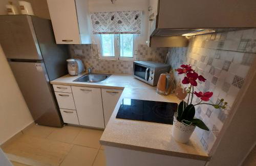 Mandola suite - Photo 9