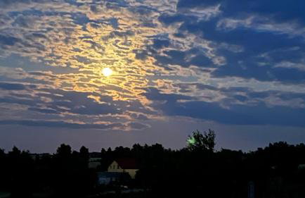 W Kręgu Natury - Foto 50