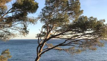 Beach apartment overseeing the sea - Foto 5