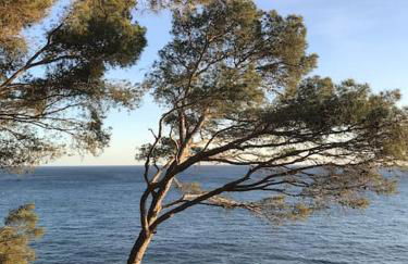 Beach apartment overseeing the sea - Foto 5