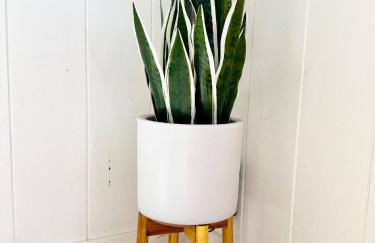 Oceanfront Stay w/ AC, BBQ, Washer/Dryer & Kitchen - Foto 67