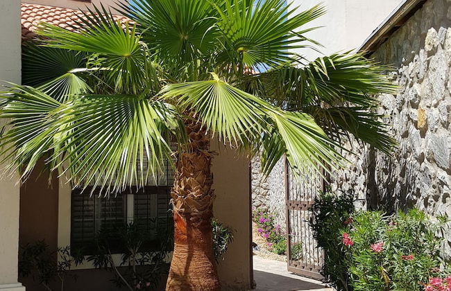 Residencia a 100 mts del consulado - Foto 12