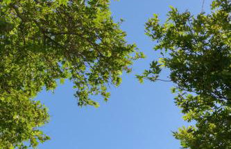 Christina Villas, Steps to Sandy Beach, By ThinkVilla - Photo 41